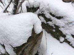 -秦岭风景区