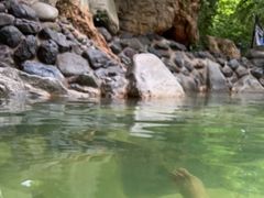 -湖泉半山温泉(湖泉生态园)