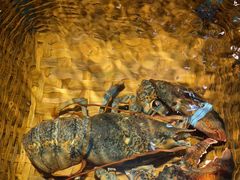 -拉完海鲜大排档(温岭店)