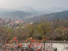 -府君山公园