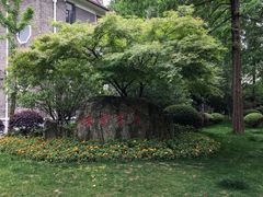 -复旦大学光华楼