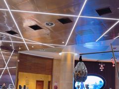 -南京禄口机场雅高铂尔曼大酒店