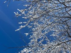 -萍乡武功山风景名胜区