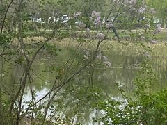 -长春净月潭风景名胜区