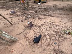 -三亚海棠湾万丽度假酒店