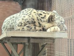 -青藏高原野生动物园