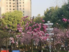 -重庆市江北嘴中央商务区中央公园