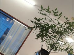 -Ten Olives甜点