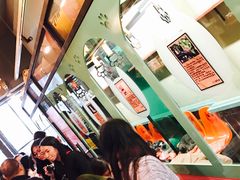 -猫咪博物馆(顶澳仔猫街店)