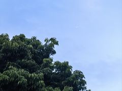 -凤凰山公园-龙王古庙