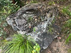 -石台牯牛降景区