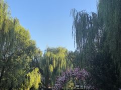 -天毓山庄·餐厅