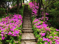 -莫干山风景区
