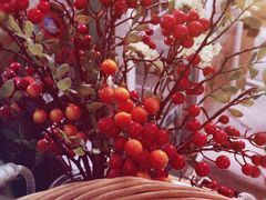 -日出青木·杭帮菜名店