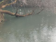 -乌村