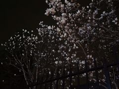 -梨园(地铁站)