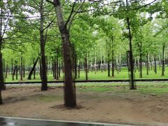 -秦皇岛野生动物园