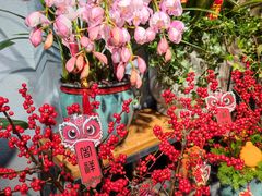 -循礼门鲜花花市(武汉循礼门店)