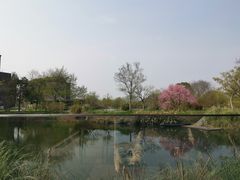 -木守西溪溪隐餐厅