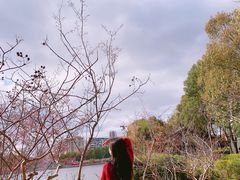 -五龙客家风情园