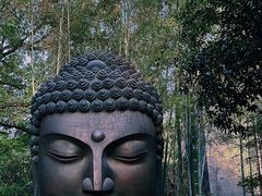 -杭州植物园