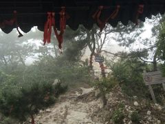 -石老人观光园