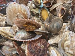 -和源祥·日照菜扛把子(万平口一店)