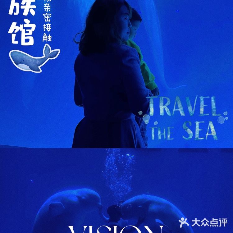 秋日遛娃海洋馆一日游