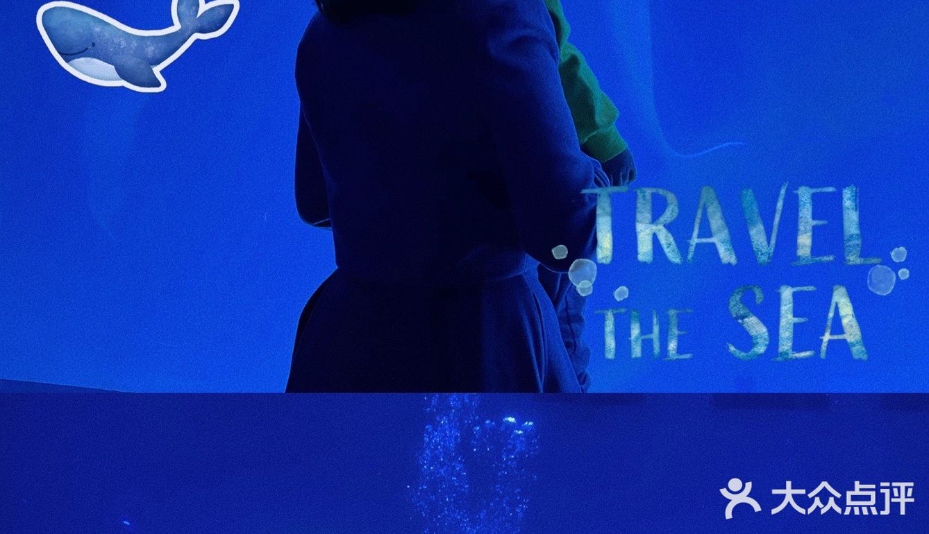 秋日遛娃海洋馆一日游