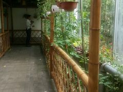 -汤山翠谷生态餐厅