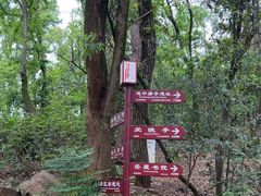 -岳麓山风景名胜区