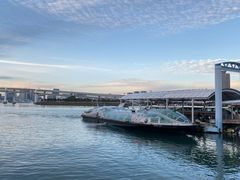 -台场海滨公园船码头