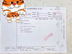 -北京观赏动物医院·24小时大型综合·猫专科·异宠专科