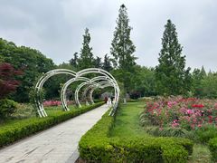 -昆山城市生态森林公园