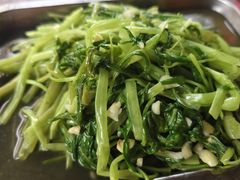 -新湖烧鸡(光明店)
