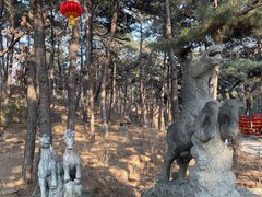 -红螺寺