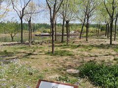 -东郊湿地公园