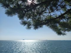 -小麦岛公园