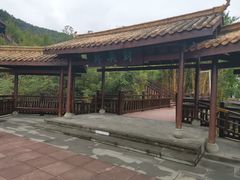 -铁山坪森林公园