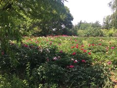 -幕燕滨江·长江观音景区
