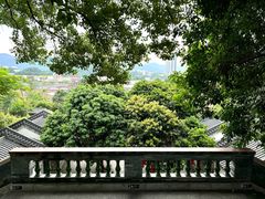 -广州神农草堂中医药博物馆