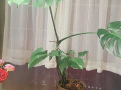 -懒人盐府人家·自贡大麻鱼(安贞店)