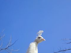 -金庭庄园酒店-停车场