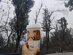 -茶颜悦色(岳麓山顶店)