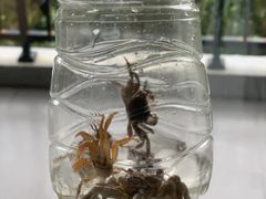 -惠州金海湾嘉华度假酒店