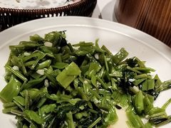 -阿露佳·安吉菜