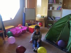 -新加坡丽思卡尔顿美年酒店