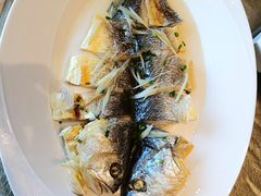 -湛江民大喜来登酒店-采悦轩中餐厅