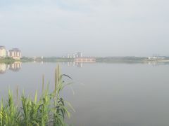 -九龙湖公园