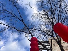 -石家庄市动物园